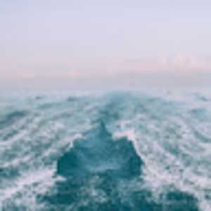 Meet your Posher, Lyla